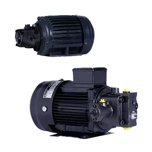 Pump Motor Assembly