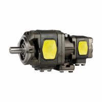 DIGP THM – DIGP - Double Internal Gear Pump & IGP1,2,3